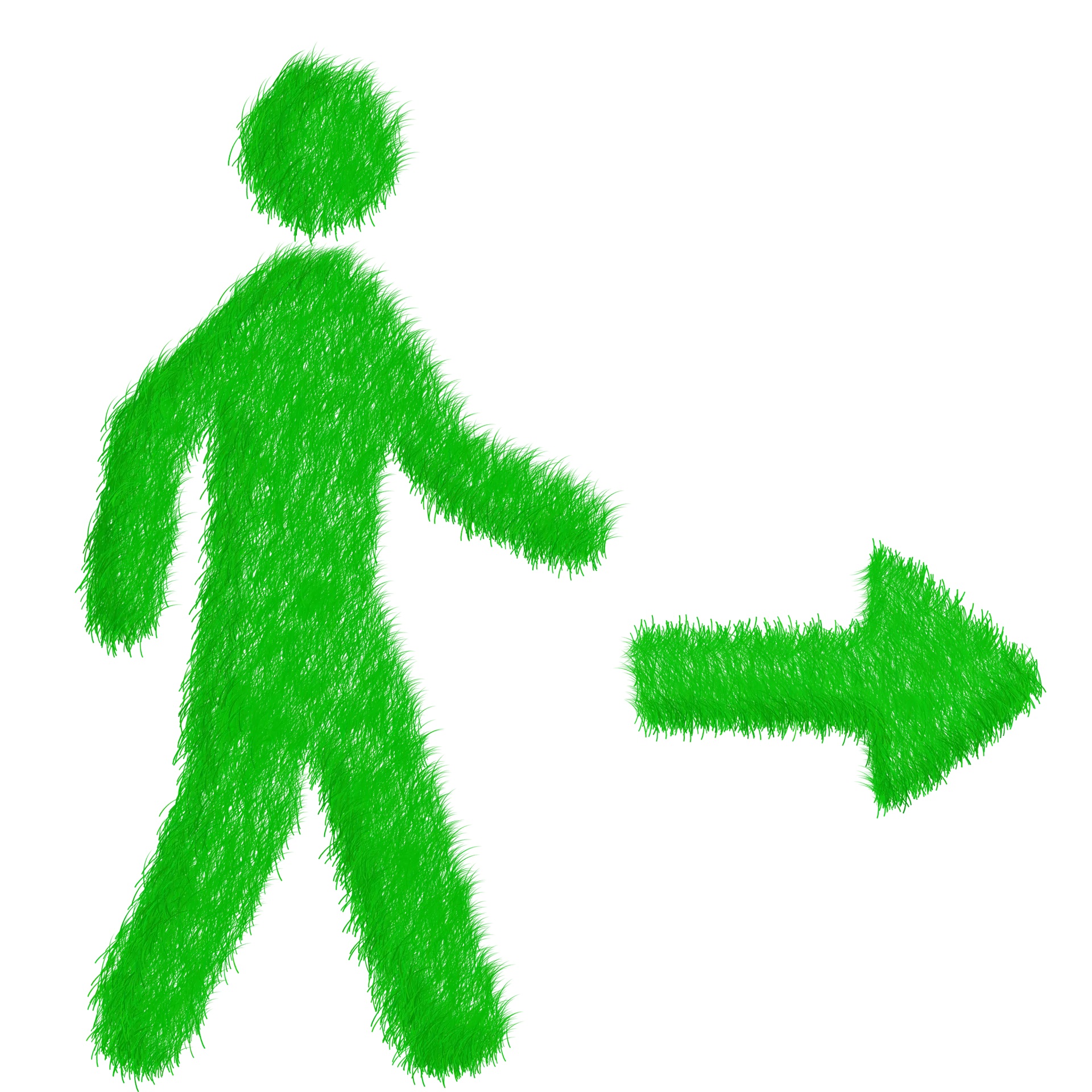 Echo, Environmentally Sustainable, Ecology, Green, Grass, Lawn, Blade Of Grass, Omino, Stick Man, Little Man Walking, Walk, Direction, Path, Indications, Arrow, Right, Person, Nature